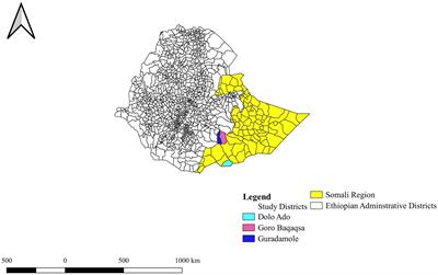 Brucellosis in camel, small ruminants, and Somali pastoralists in Eastern Ethiopia: a One Health approach